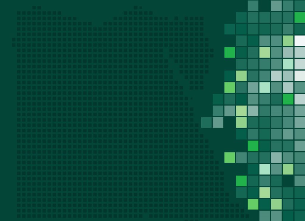 Shaping Egypt’s Future_Text