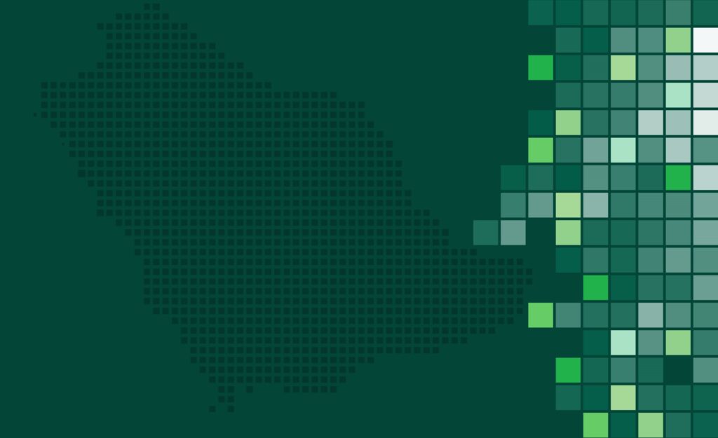 Saudi Arabia’s Economic Landscape in 2024