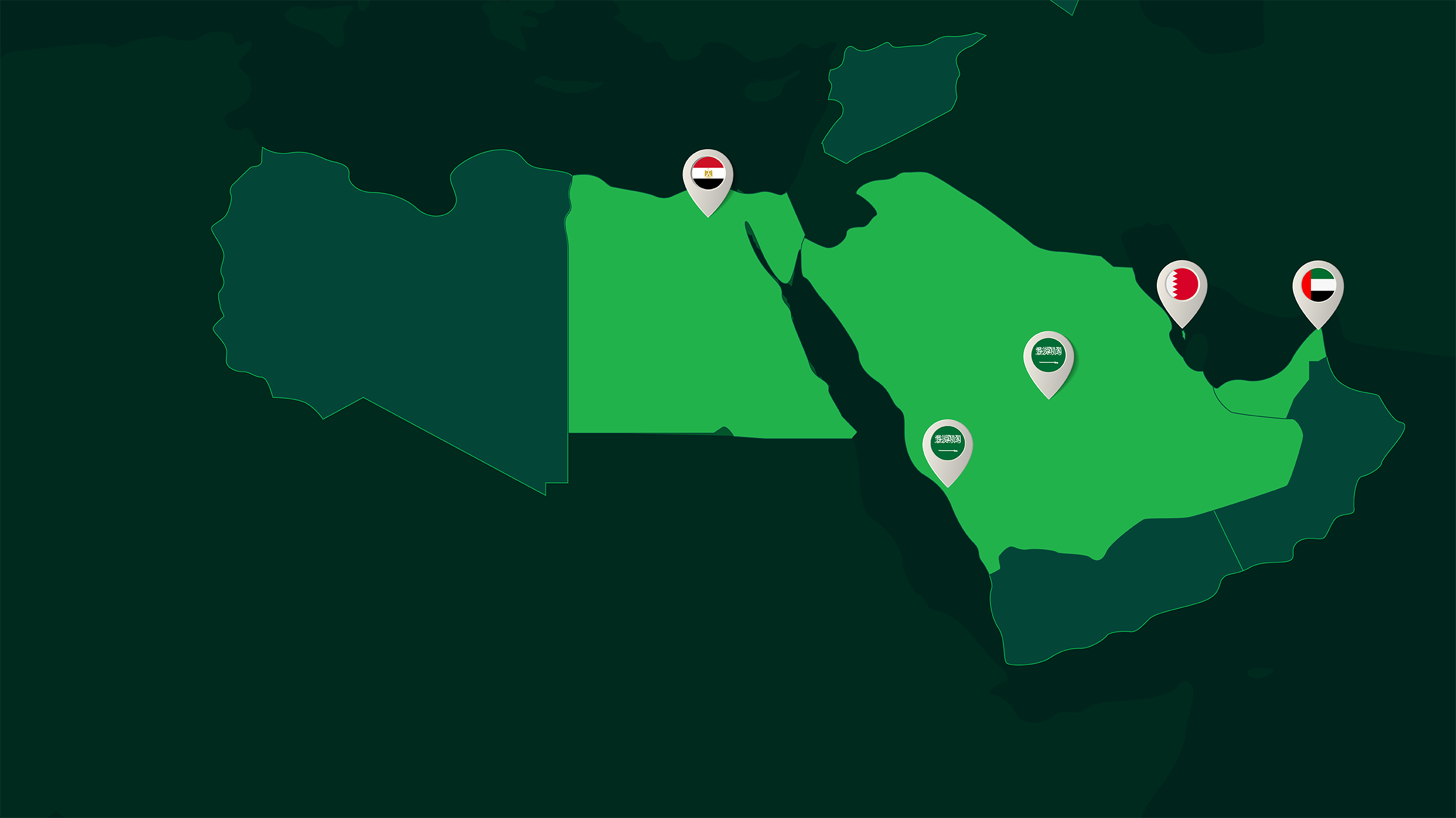 Regional Consulting Partner