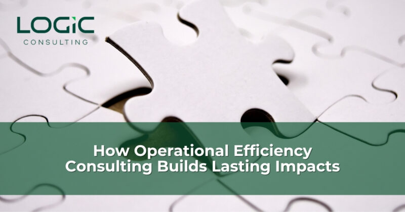 How Operational Efficiency Consulting Builds Lasting impacts (6)
