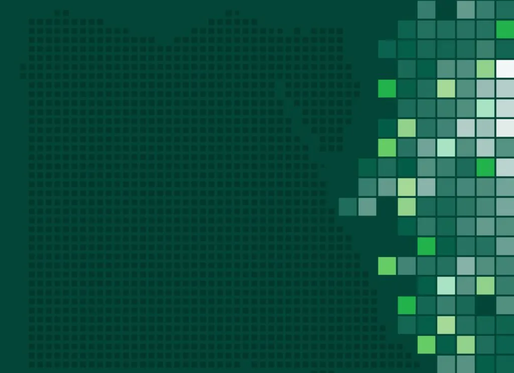 Shaping Egypt’s Future_Text