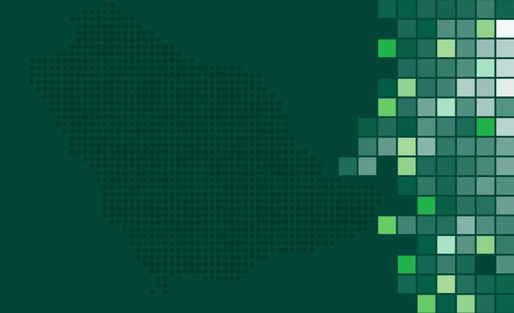 Saudi Arabia’s Economic Landscape in 2024