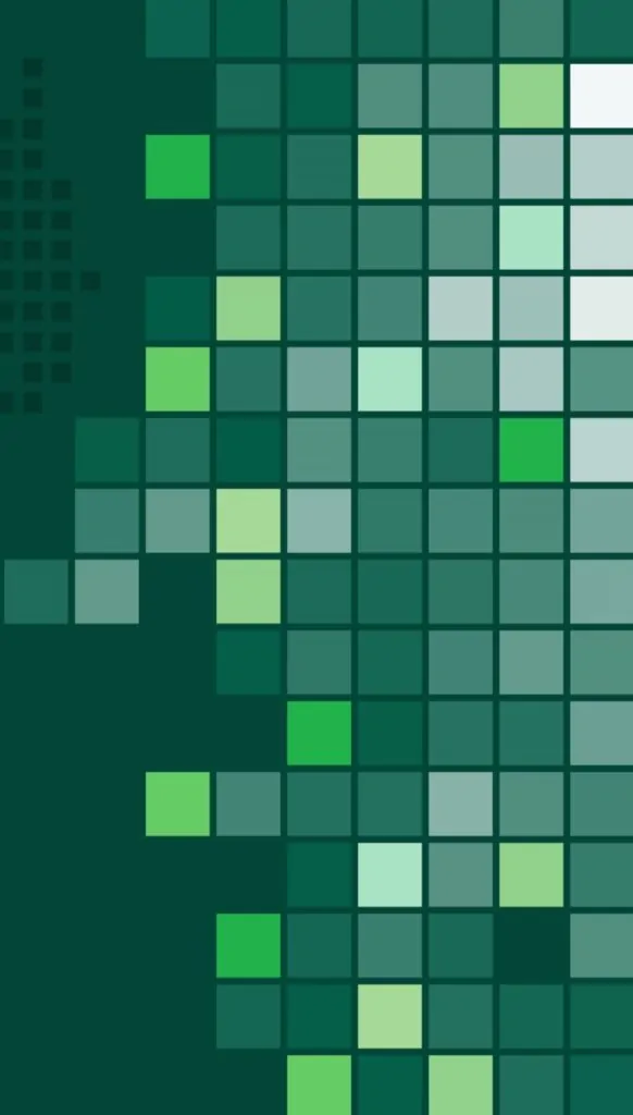 The UAE’s Economic Journey in 2024