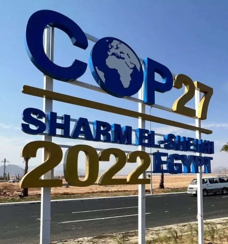 ezgif.com-webp-to-jpg-1